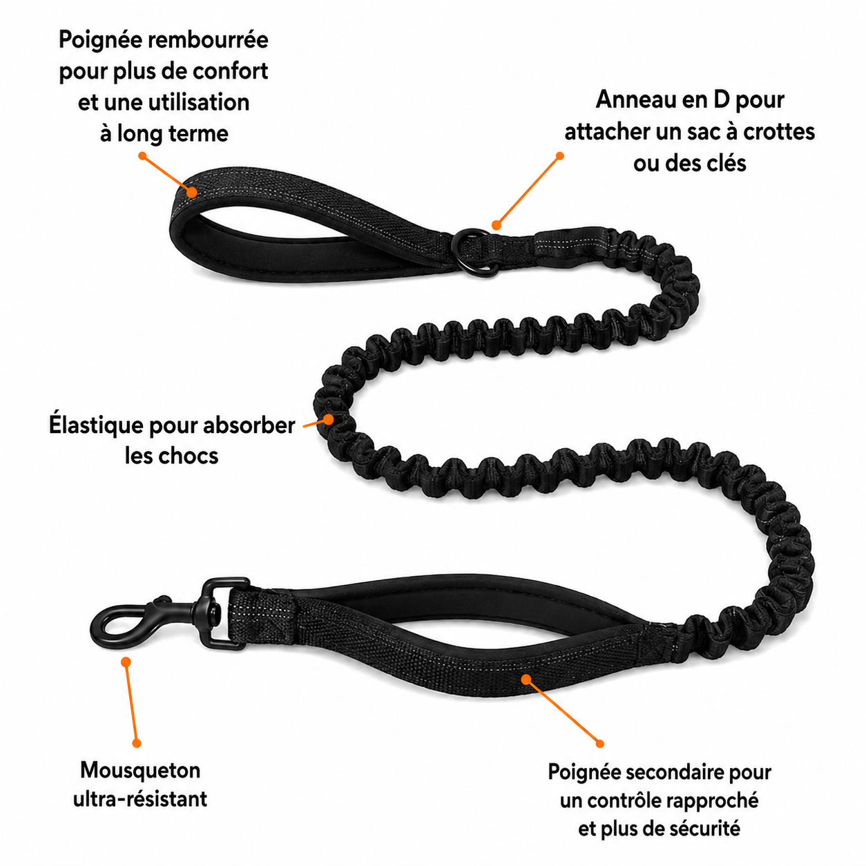 Cannelle de Ceylan 7200 mg, équivalent à de l'huile TCM